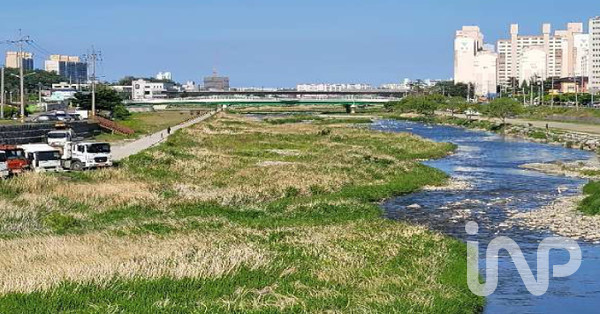 강릉시 소재 남대천 모습(2022년 당시) ⓒ인사이트N파워 DB